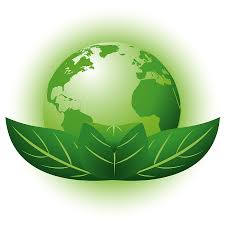 	Supplying Green Products